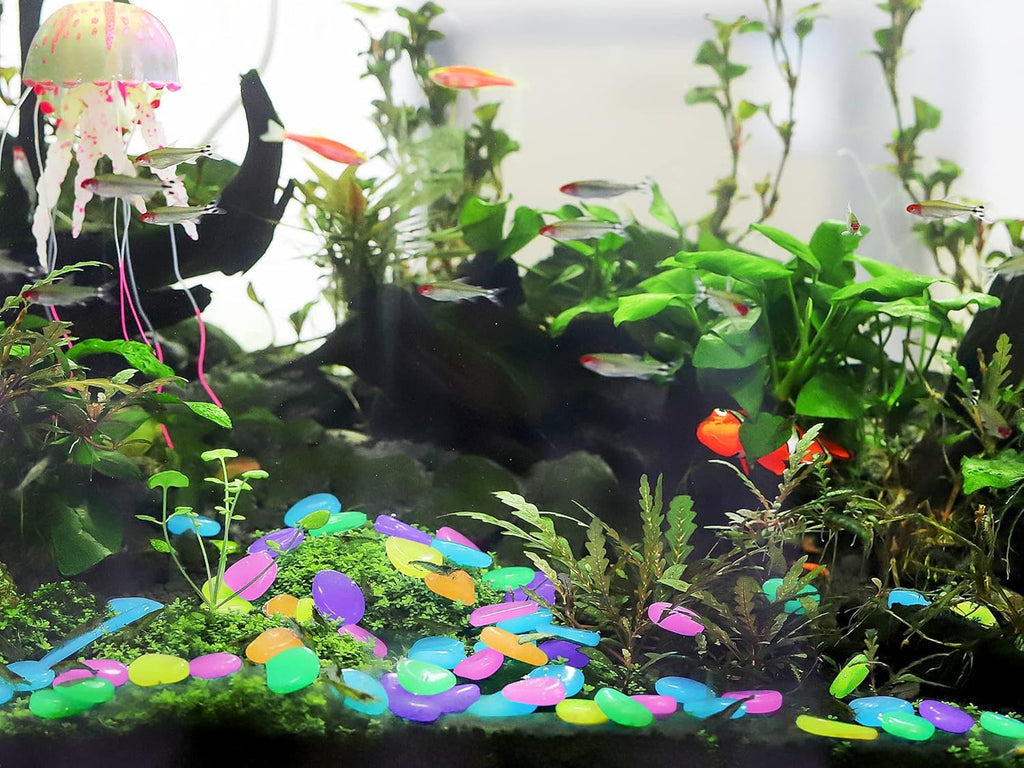 Luminous Stones – Mixed Color Glow  (Buy 1 Get 2 Free )