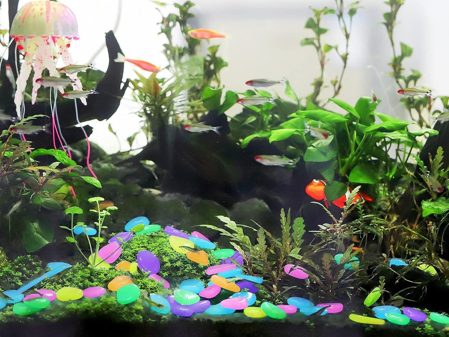 Luminous Stones – Mixed Color Glow  (Buy 1 Get 2 Free )