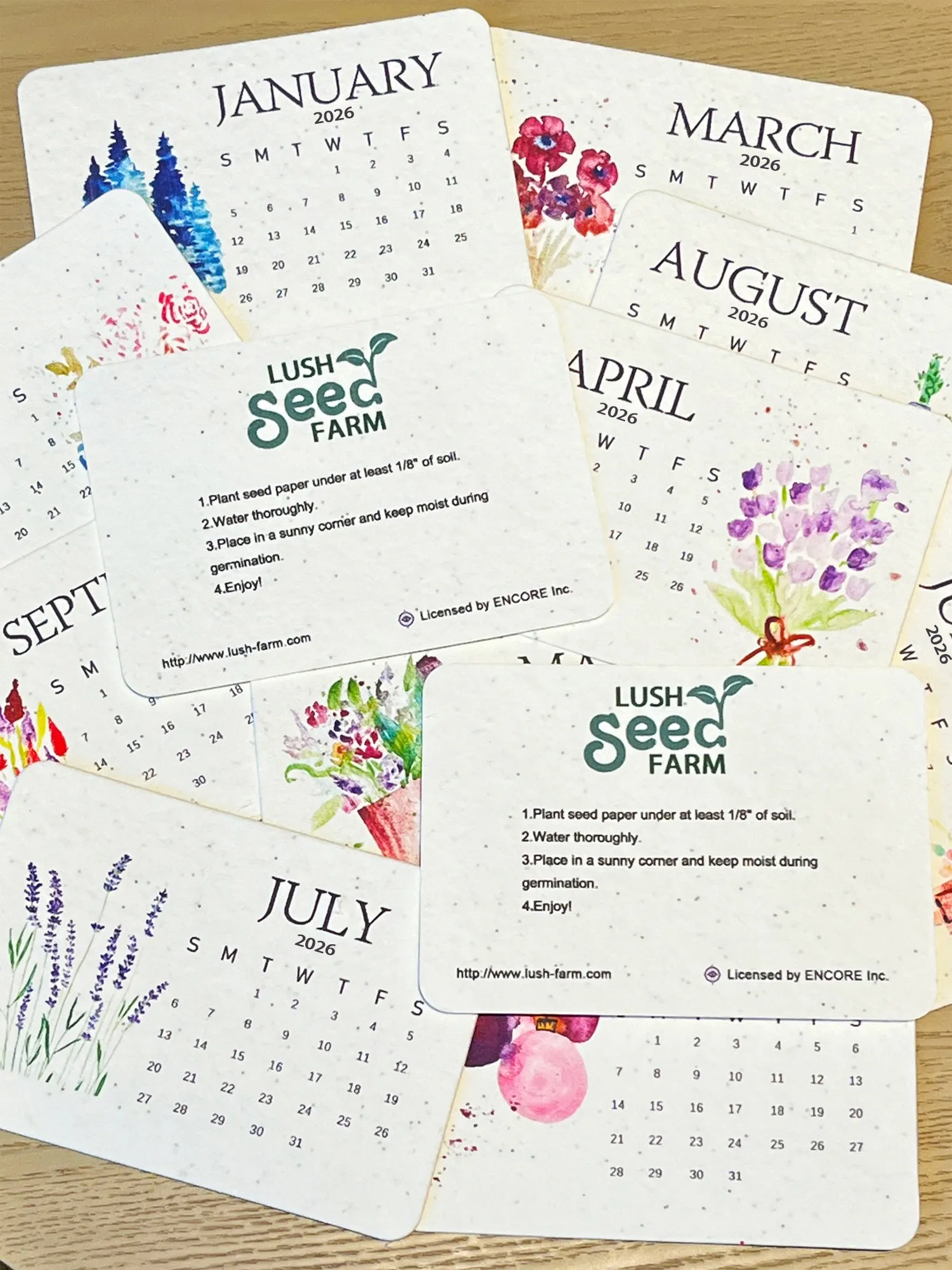 🌸New Arrivals Buy 1 Get 1 Free🌱Eco-Friendly Plantable Seed Calendar 2026